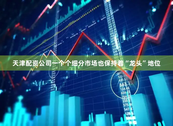 天津配资公司一个个细分市场也保持着“龙头”地位