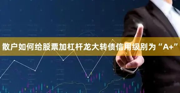 散户如何给股票加杠杆龙大转债信用级别为“A+”